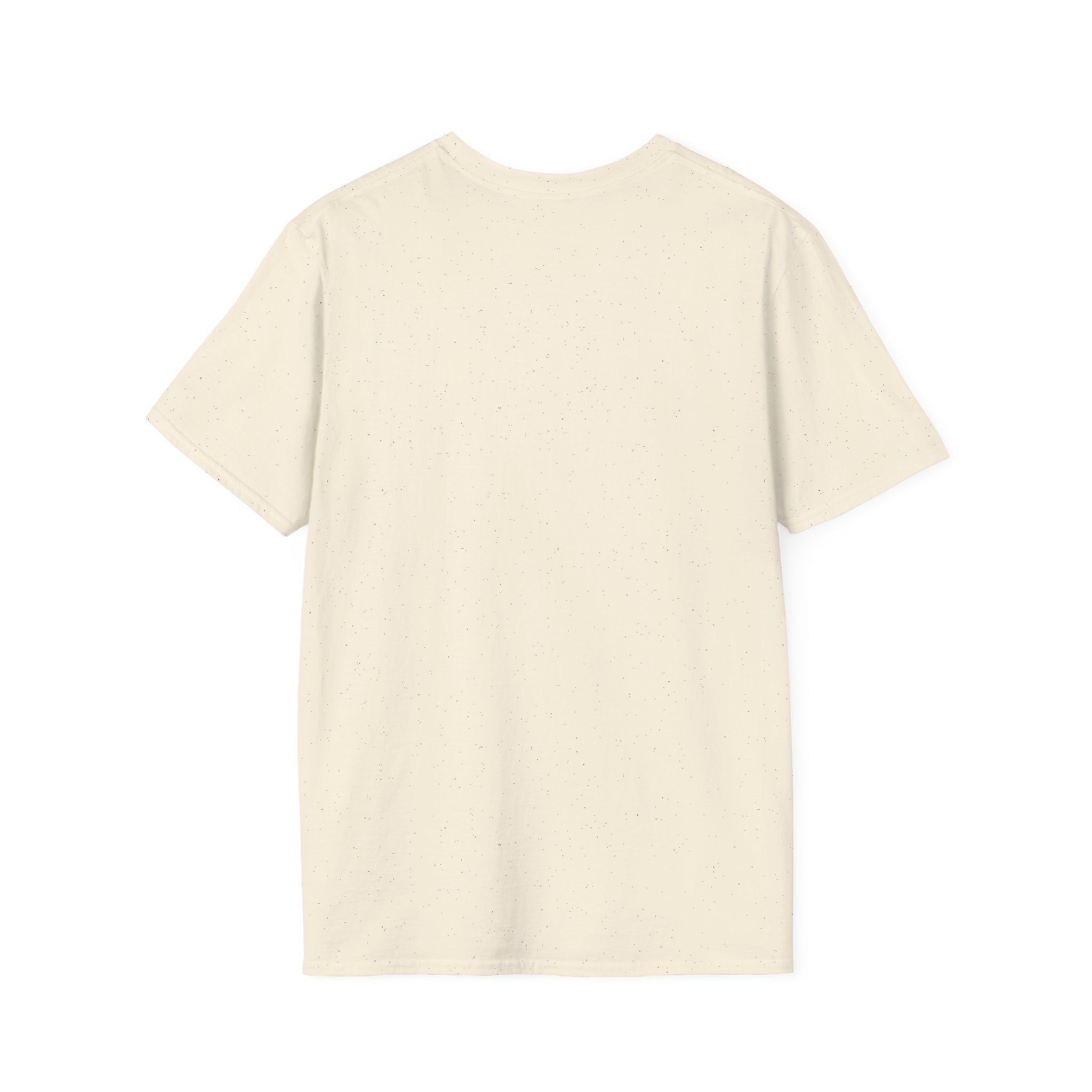 Women's Halloween Spider Web Softstyle T-Shirt