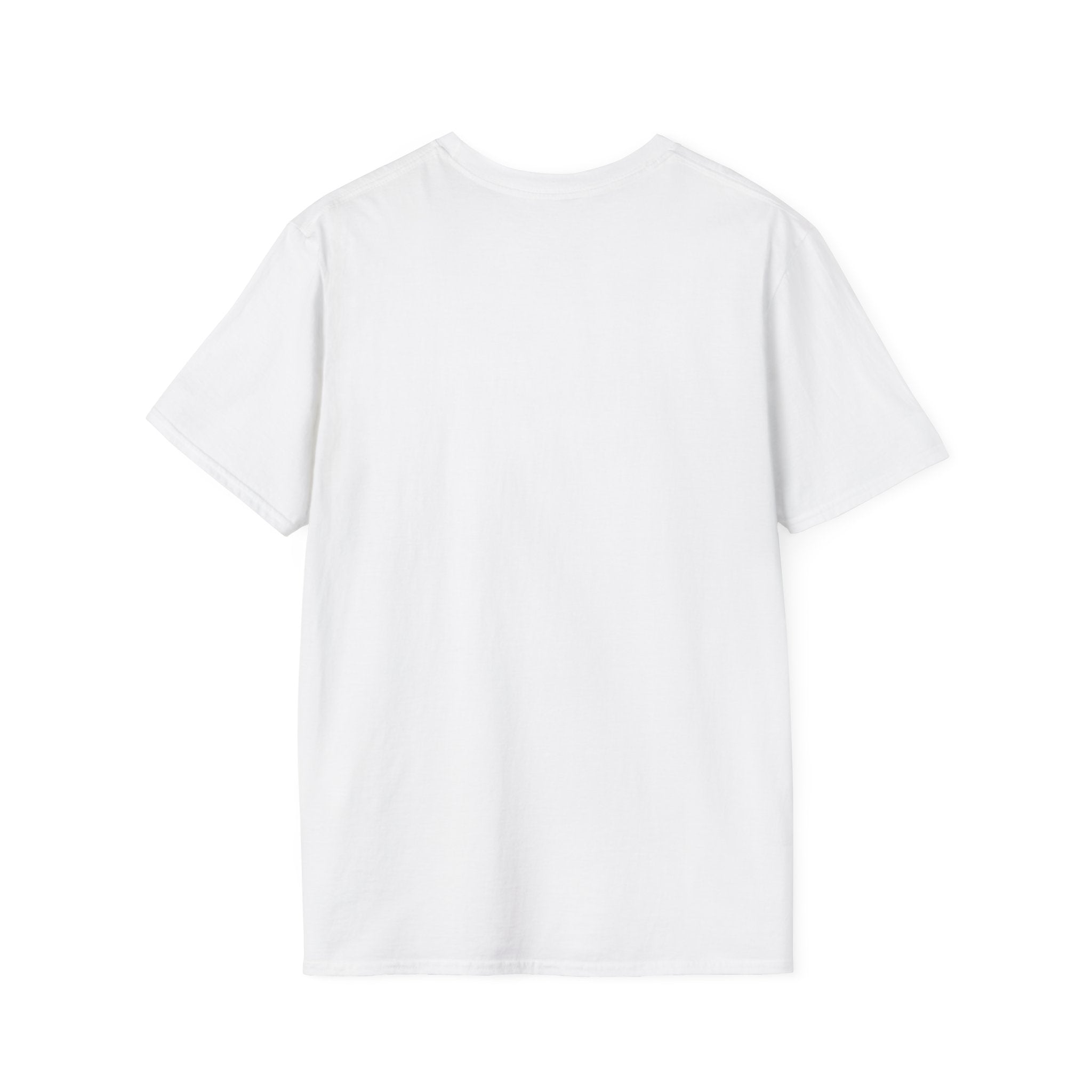 Women's Halloween Spider Web Softstyle T-Shirt